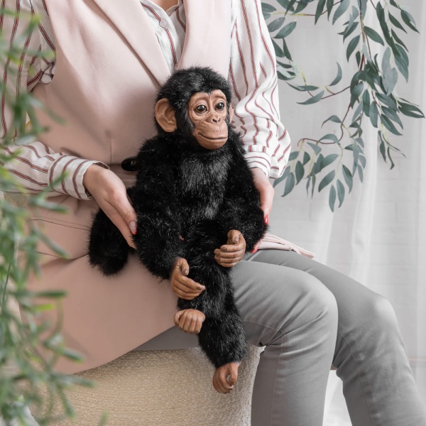 Кукла коллекционная Алекс Кукла коллекционная Алекс